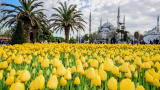 Lalele in Sultanahmet, Istanbul 