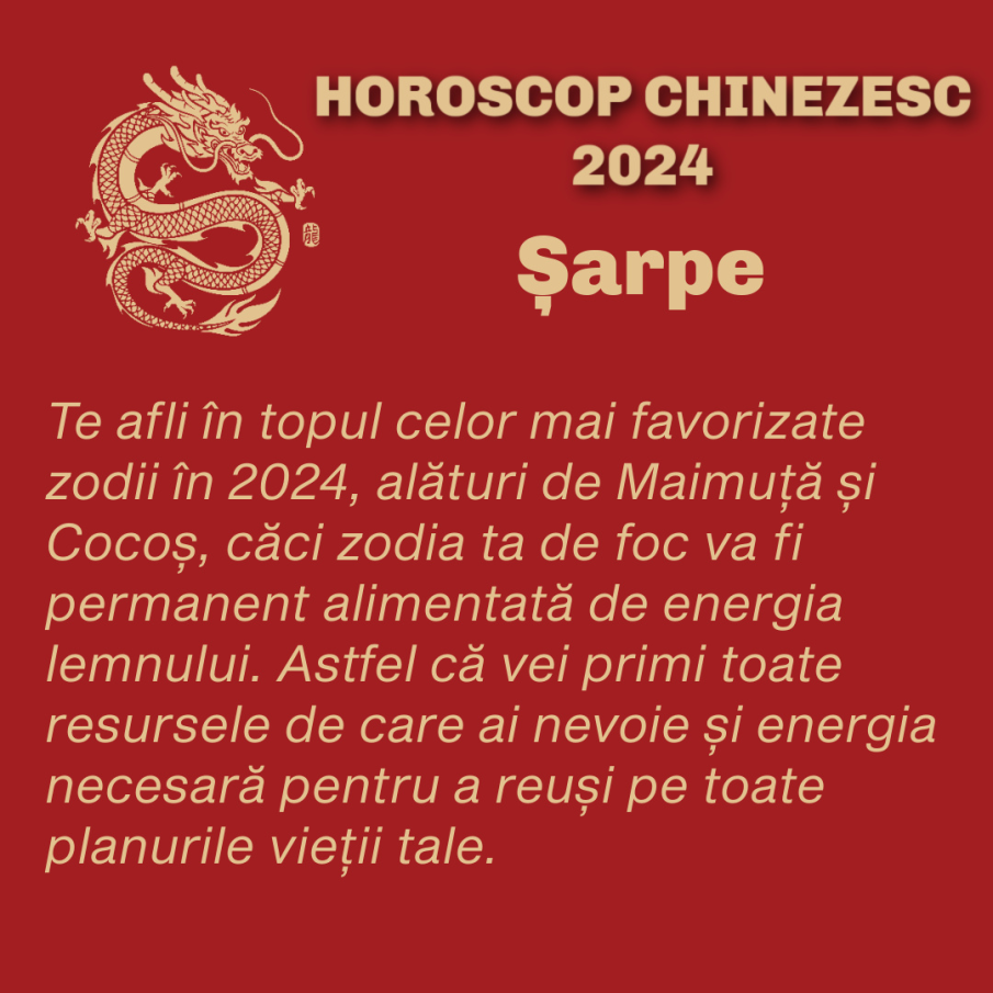  Horoscop Chinezesc 2024