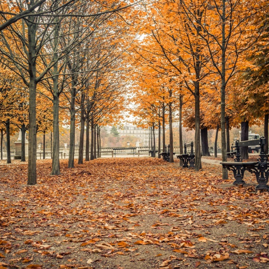 Toamna in Gradinile Luxemburg din Paris