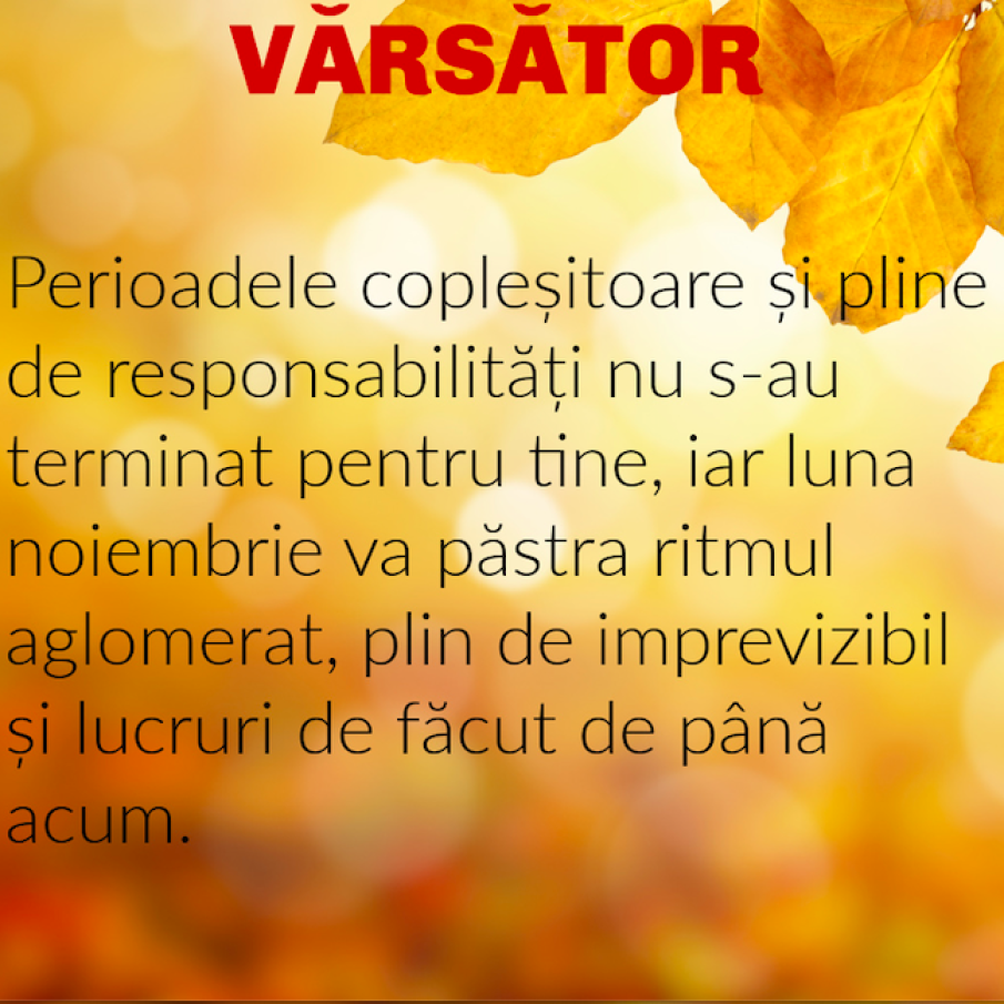 Horoscop Noiembrie 2023: Zodia Vărsător