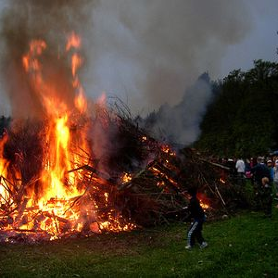 Finlanda si Suedia