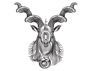 Capricorn